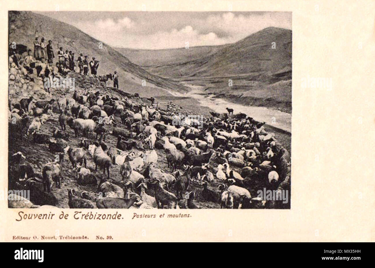 . English: Herders with sheep near Trabzon, Turkey . 7 June 2014, 23:11:11. Osman Nuri 470 Pasteurs et moutons Stock Photo