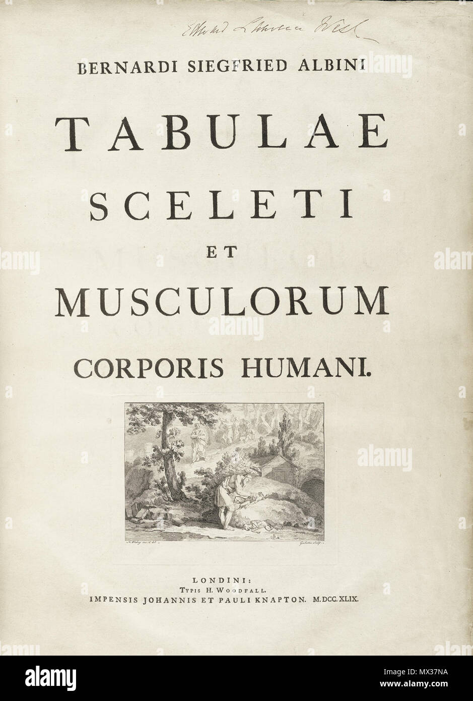 Bernhard siegfried albinus hires stock photography and images Alamy