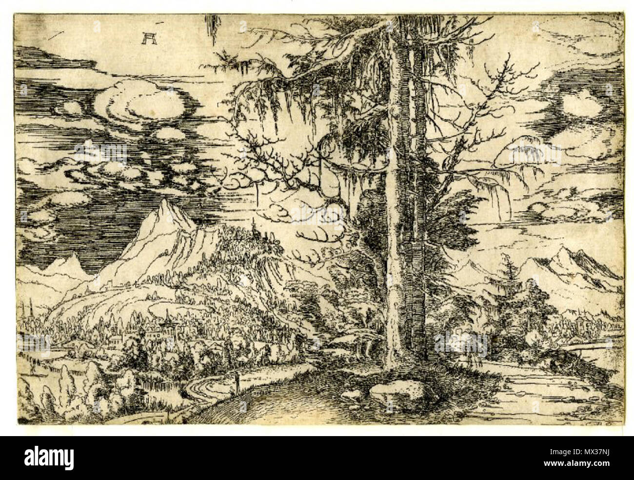 . English: Albrecht Altdorfer - Landscape with a double spruce (British Museum 1895,0617.5) . between 1521 and 1522.   Albrecht Altdorfer  (1480–1538)     Description German painter, draughtsman, engraver and architect  Date of birth/death circa 1480 12 February 1538  Location of birth/death Altdorf or Regensburg Regensburg  Work location Regensburg  Authority control  : Q153746 VIAF: 100221829 ISNI: 0000 0001 2145 2119 ULAN: 500031250 LCCN: n50053721 NLA: 35003981 WorldCat 33 Albrecht Altdorfer - Landscape with a double spruce (British Museum 1895,0617.5) Stock Photo