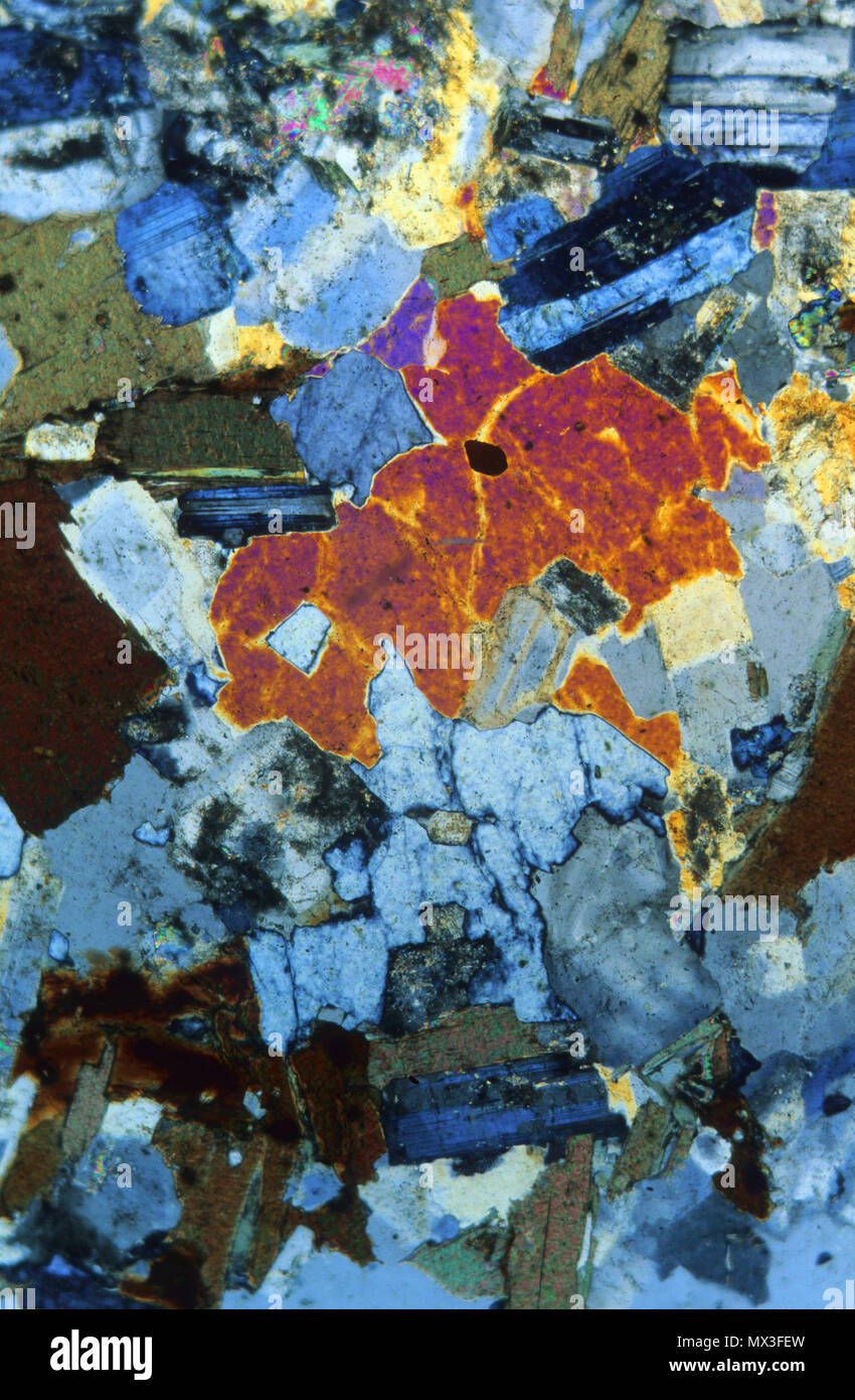 Biotitic granite.Igneous rocks.Pyrenees.Spain.Petrograhic microscope Stock Photo