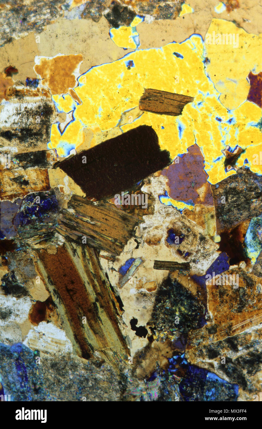 Biotitic granite.Igneous rocks.Pyrenees.Spain.Petrograhic microscope Stock Photo