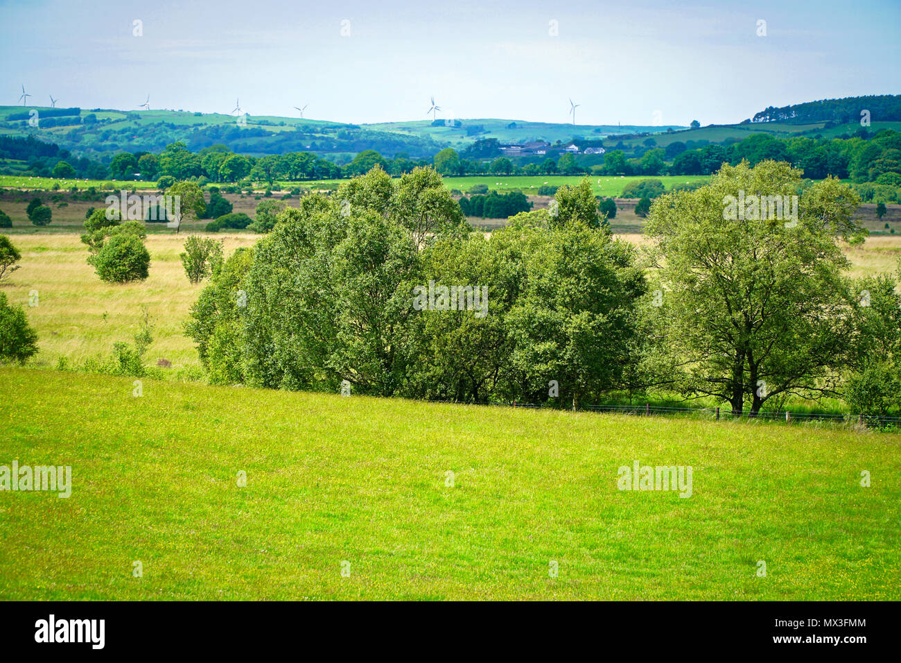 Rural landscape with trees hi-res stock photography and images - Alamy