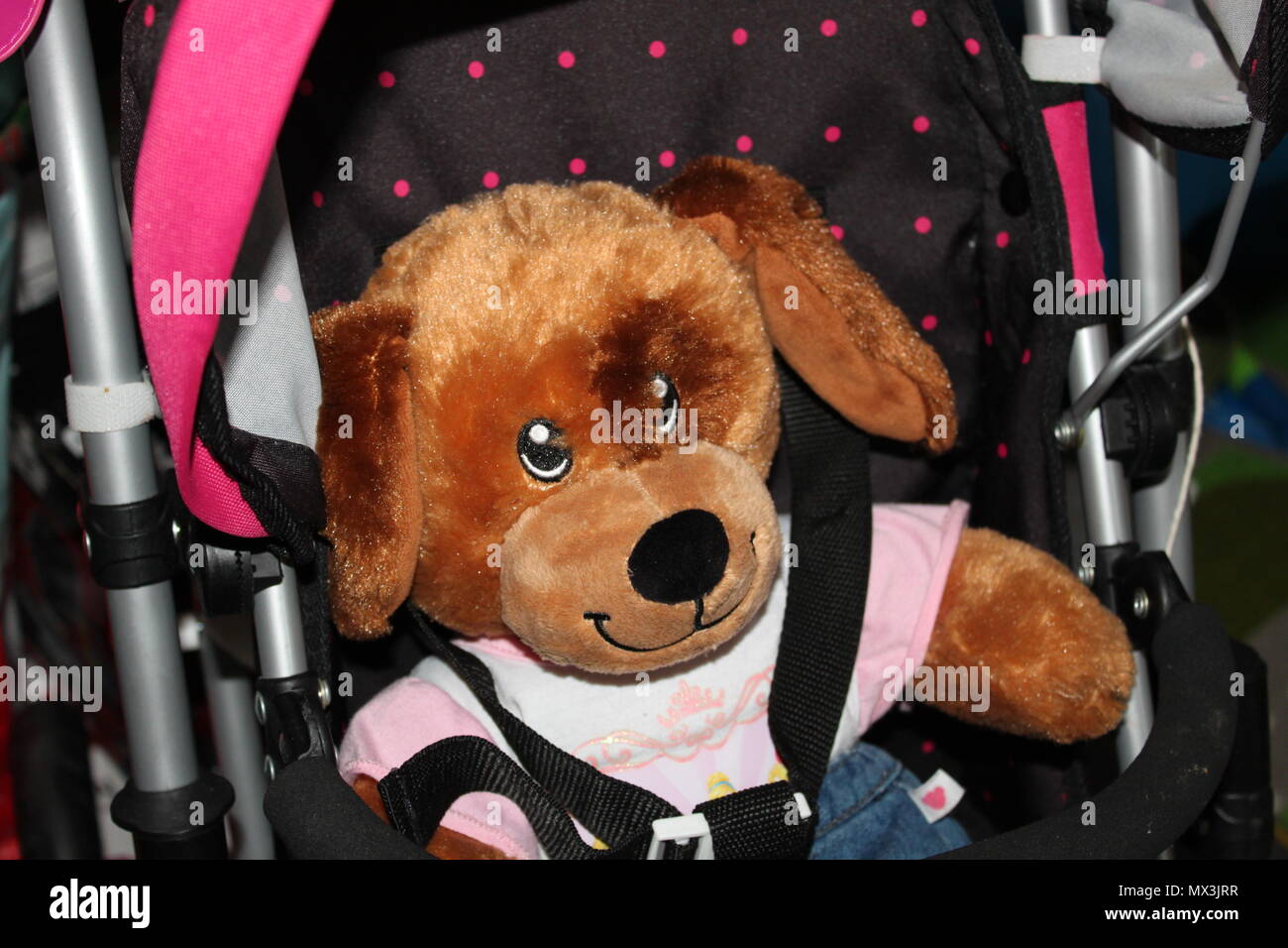 Teddy Bear in a push chair Stock Photo