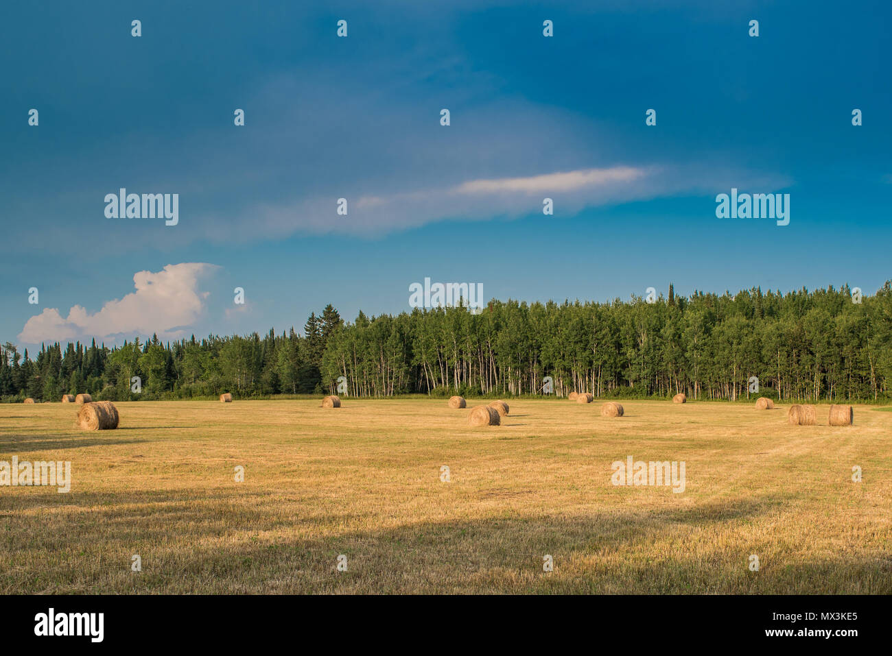 Hay Field and Blue Skies Stock Photo - Alamy