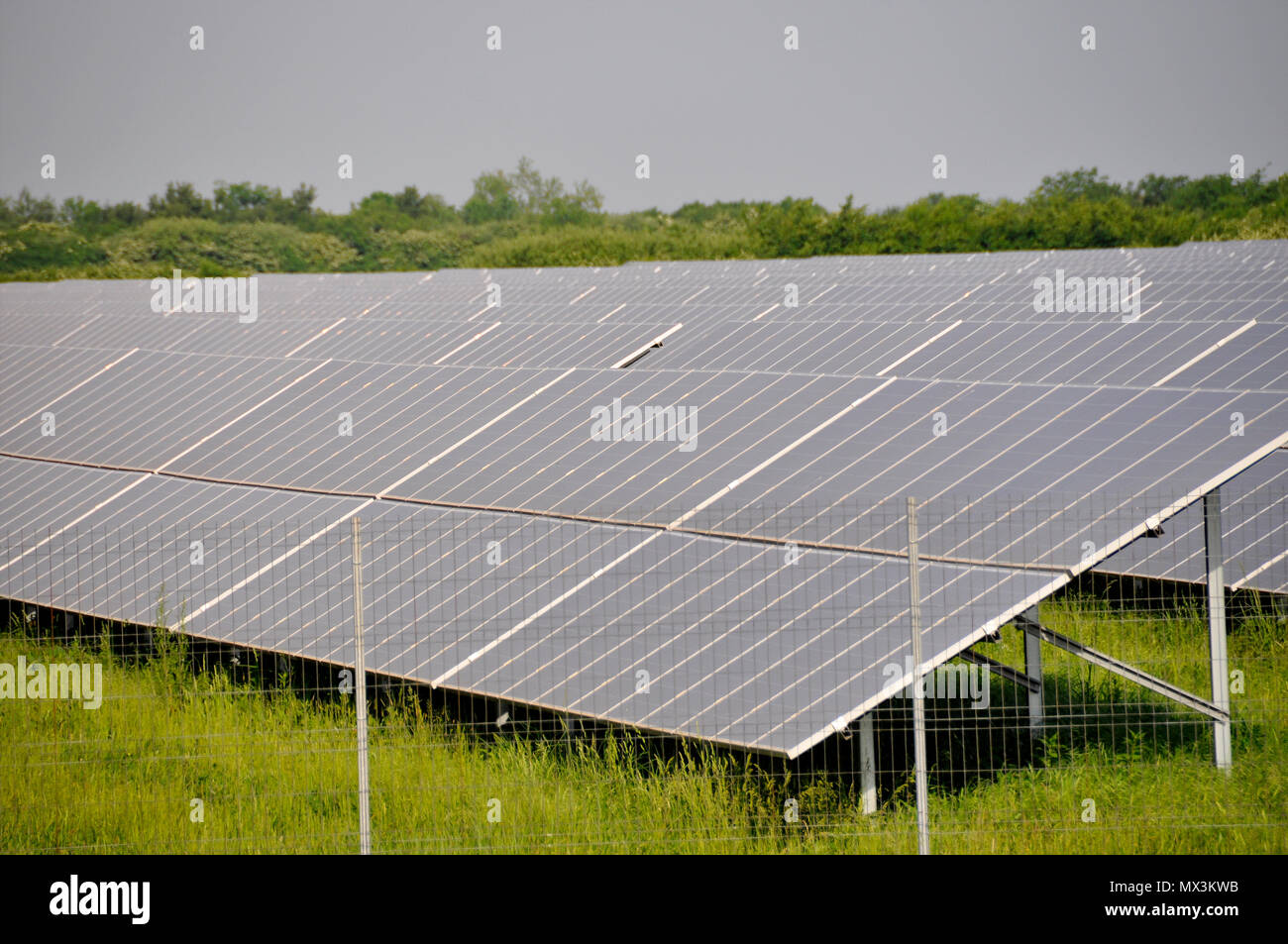Solar panels in the power plant for renewable energy Stock Photo - Alamy