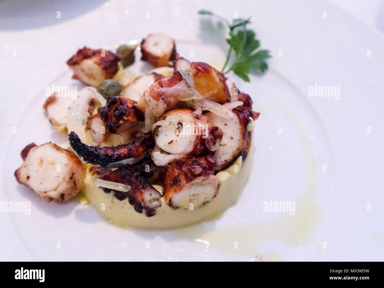 Fine dining hors d'oeuvres a first course starter, sliced grilled octopus tentacles served on a