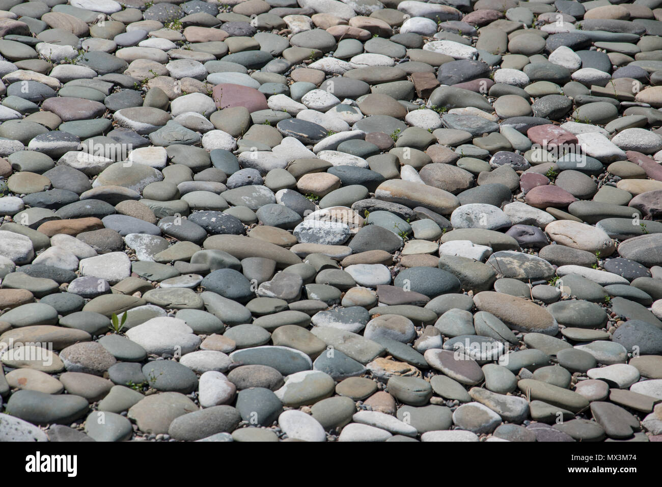 Round pebbles in the dry rock garden at Nikka Yuko Japanese Garden in