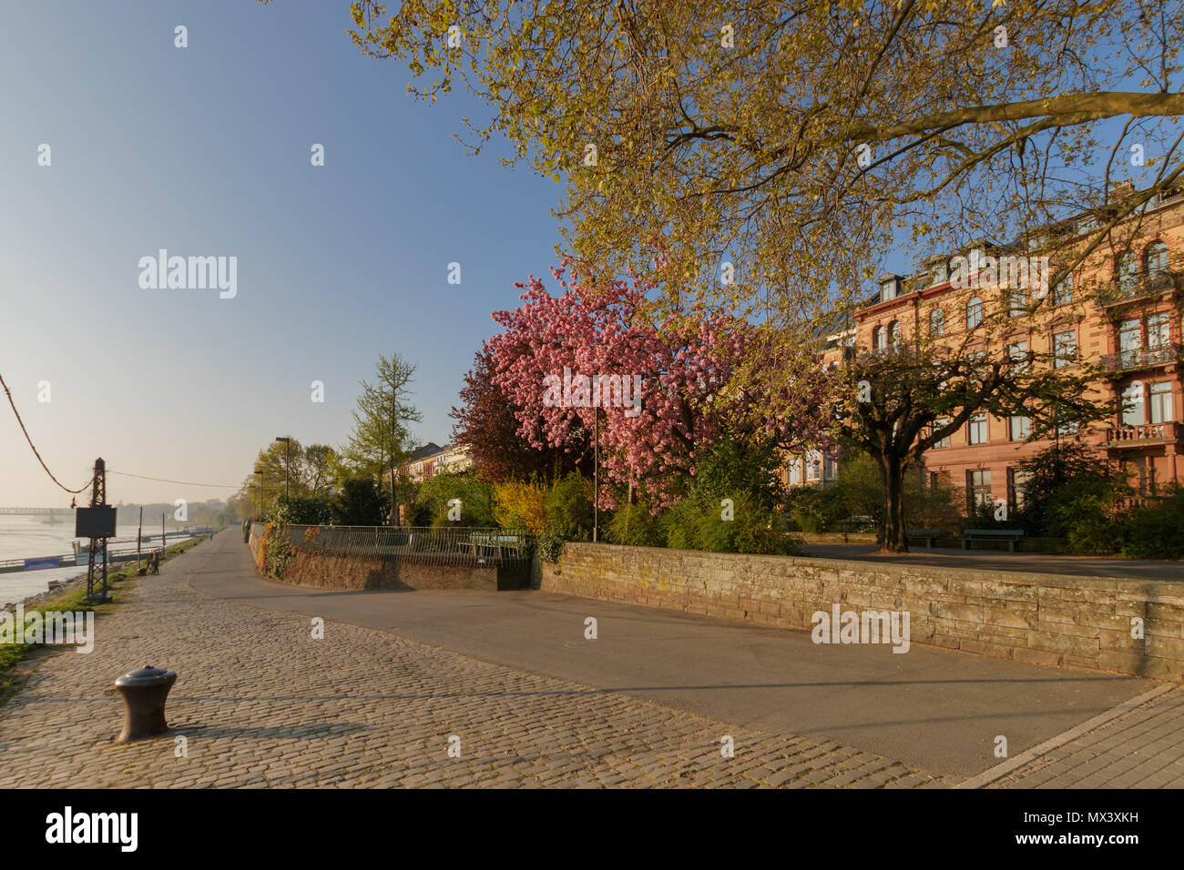 The banks of river Rhine in Mainz, Germany on a beautiful morning in springtime Stock Photo