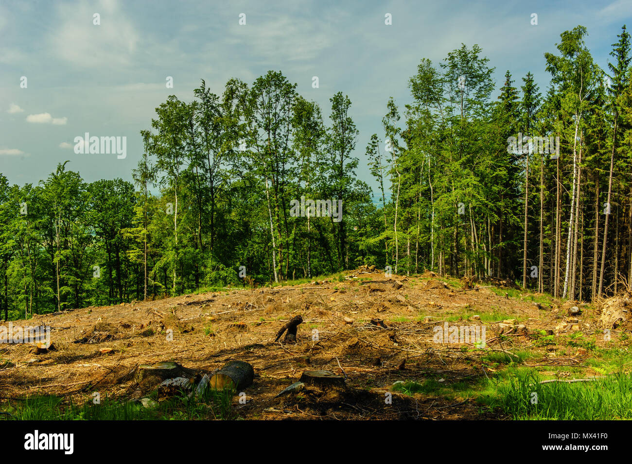 Radunia hi-res stock photography and images - Alamy