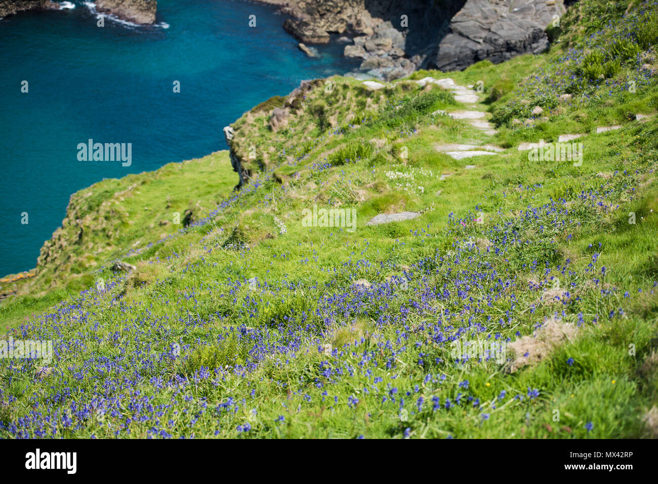 The geography of Tintagel, Cornwall UK Stock Photo Alamy
