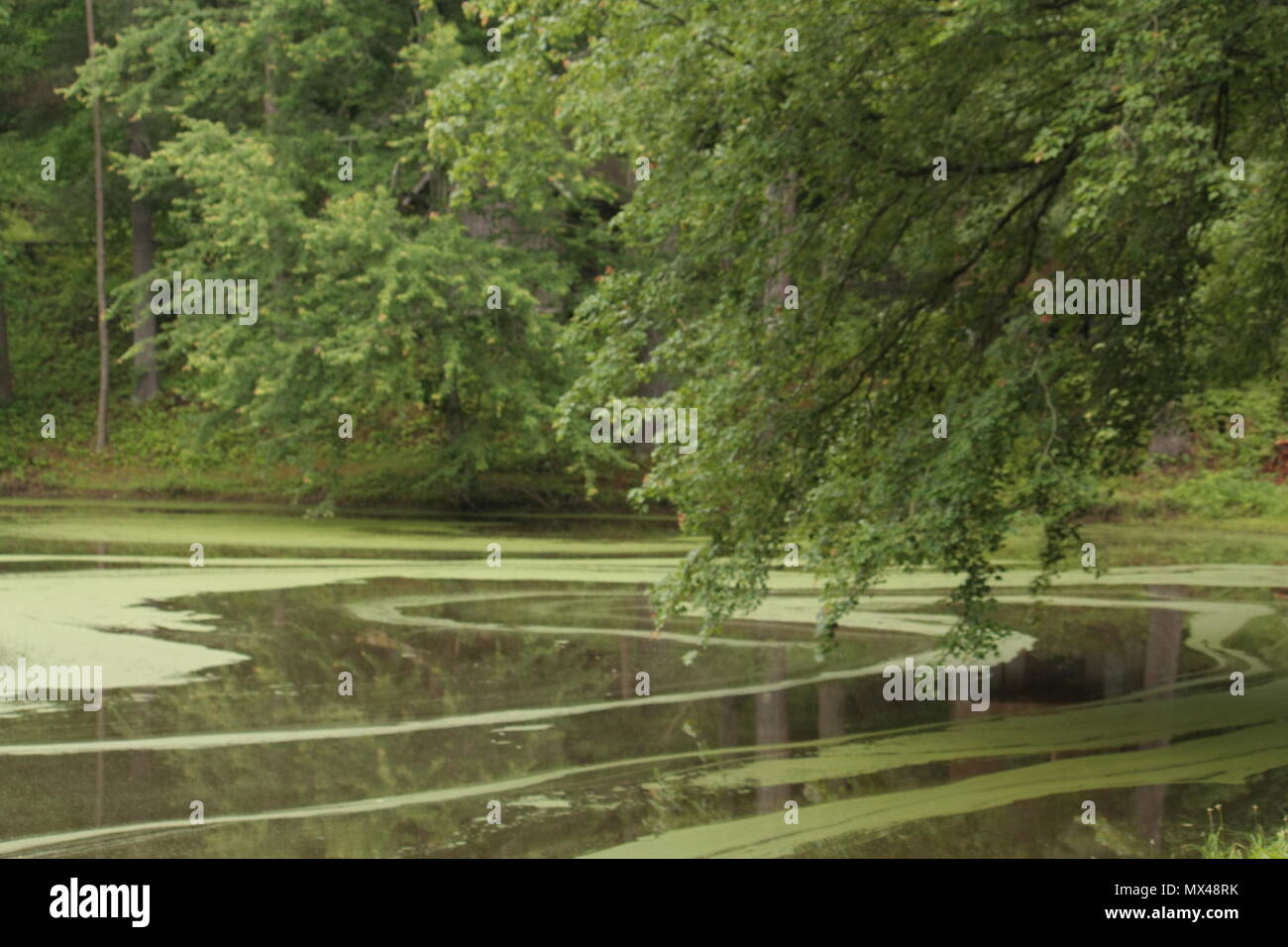 Water swirls hi-res stock photography and images - Alamy