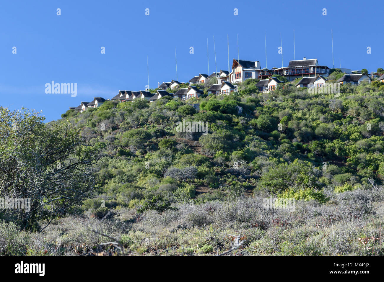 Tourist Cottages At Kuzuko Lodge In The Addo Elephant National