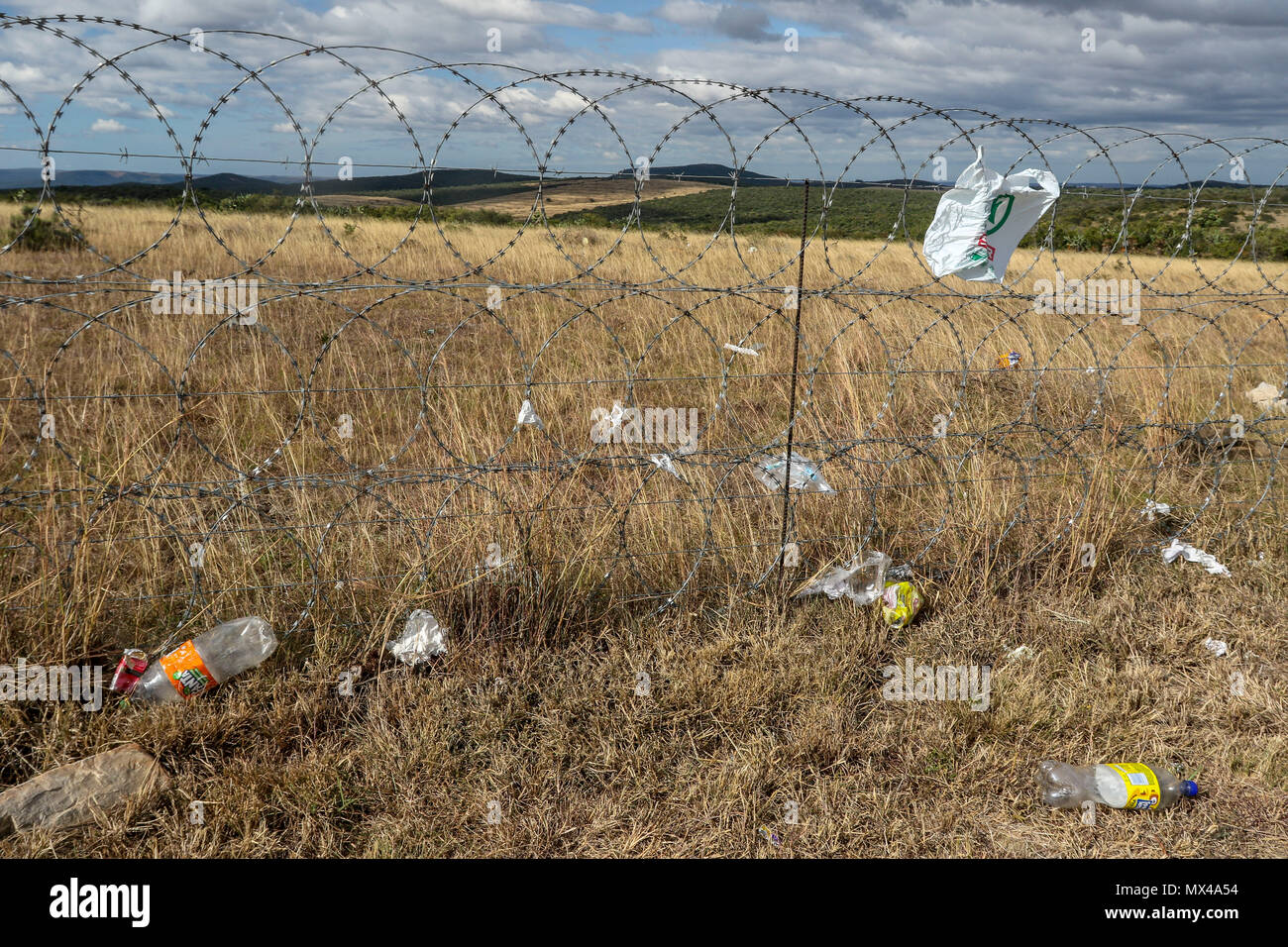 Discarded plastic bags and other plastic along a razor wire fence along