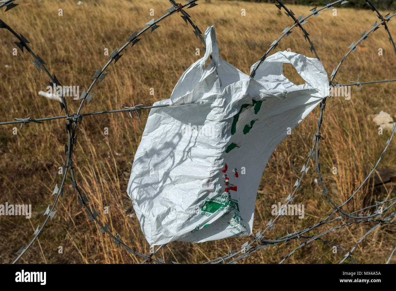 Discarded plastic bags and other plastic along a razor wire fence along