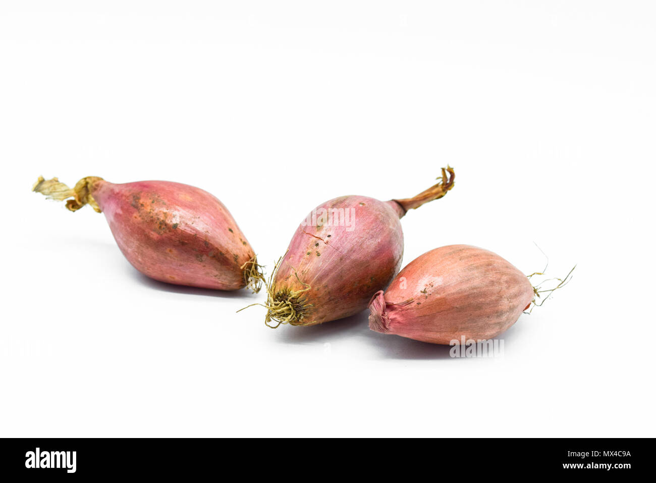 Shallot onions isolated on white background Stock Photo