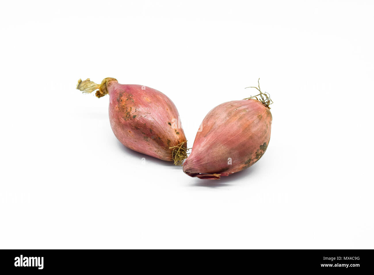 Shallots isolated on white background Stock Photo