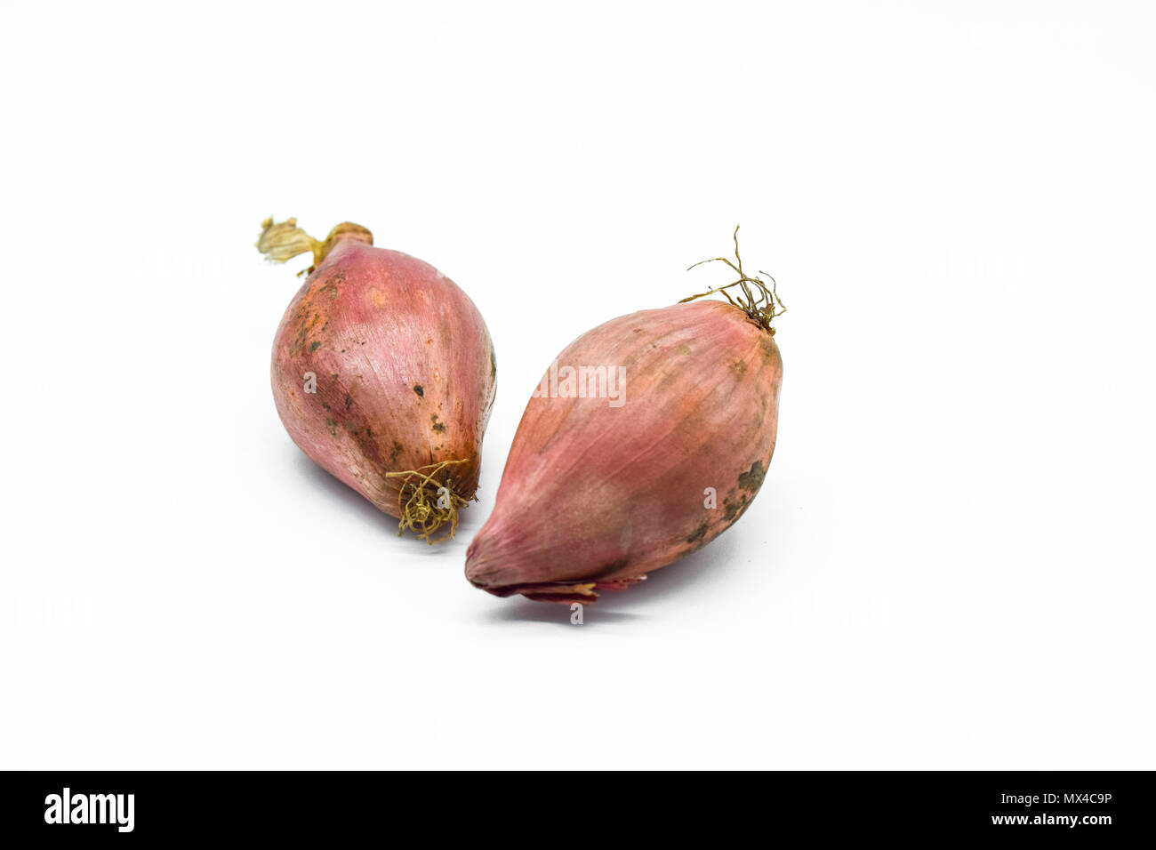 Shallot onions isolated on white background Stock Photo