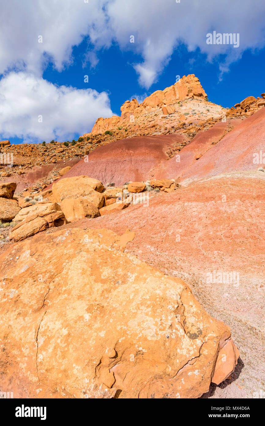 Colorful soils and rock formations near Wolverine Creek along the