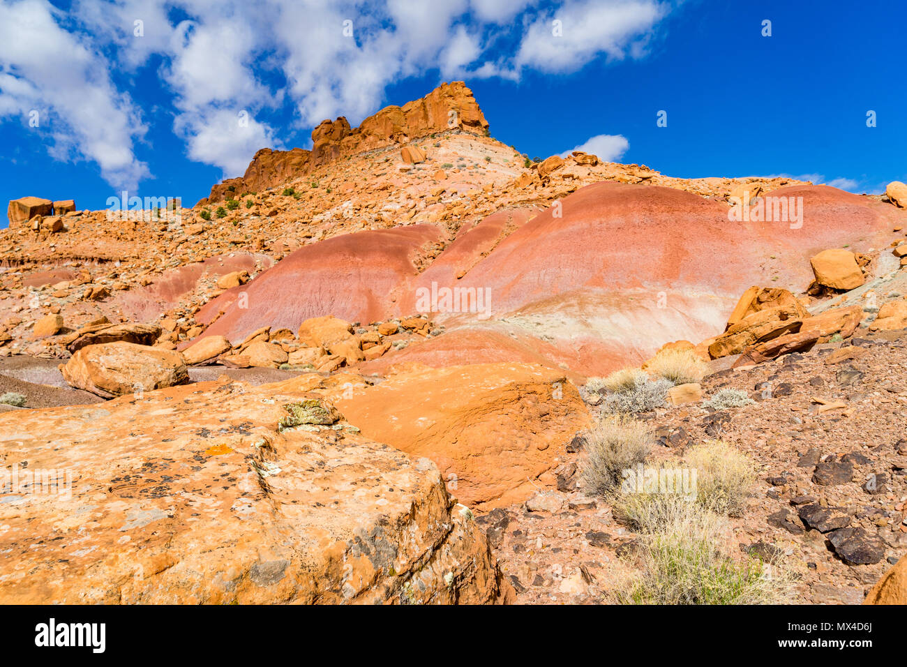 Wolverine loop road hires stock photography and images Alamy