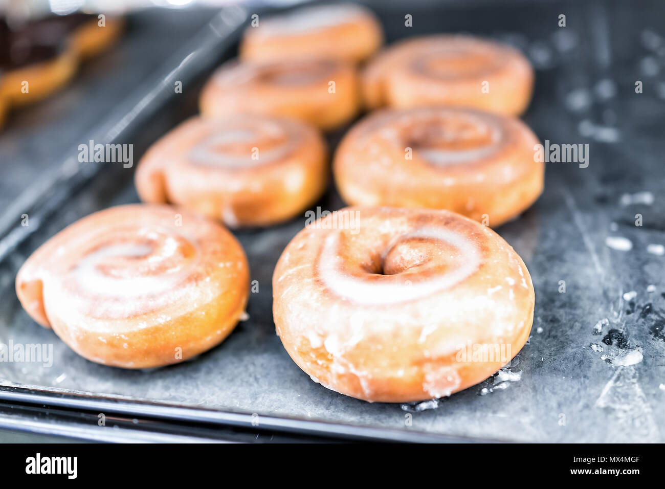 Plain glazed sugar cinnamon roll donuts closeup on bakery tray, deep