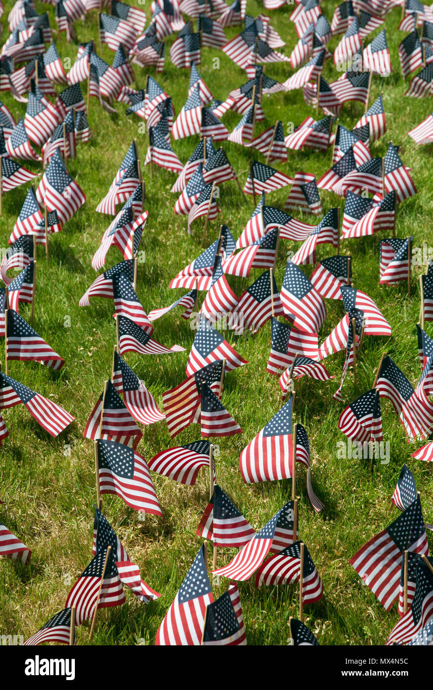 Us bill of rights display hi-res stock photography and images - Alamy