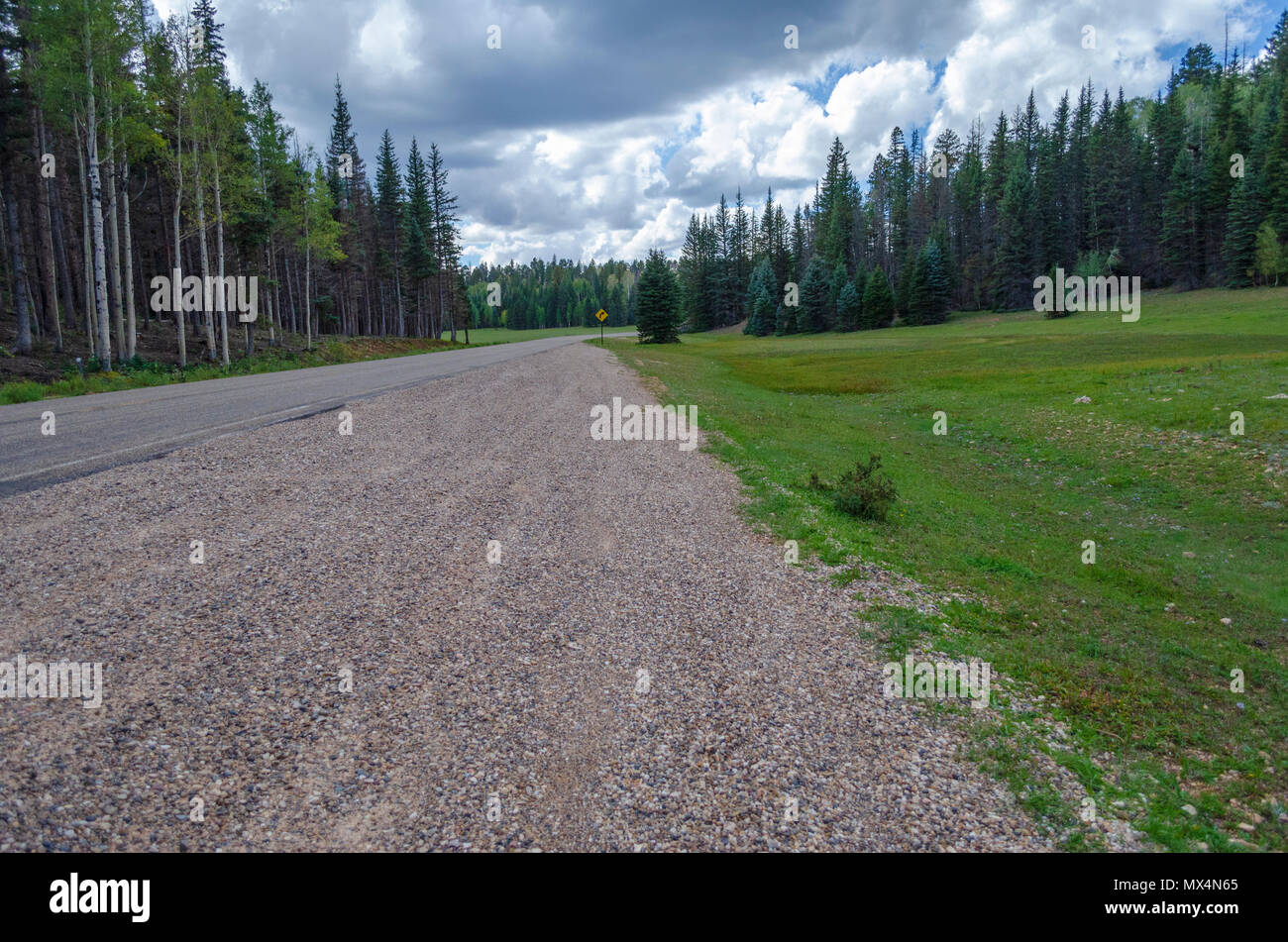 Gravel pull off with green fields and forest under blue sky with clouds