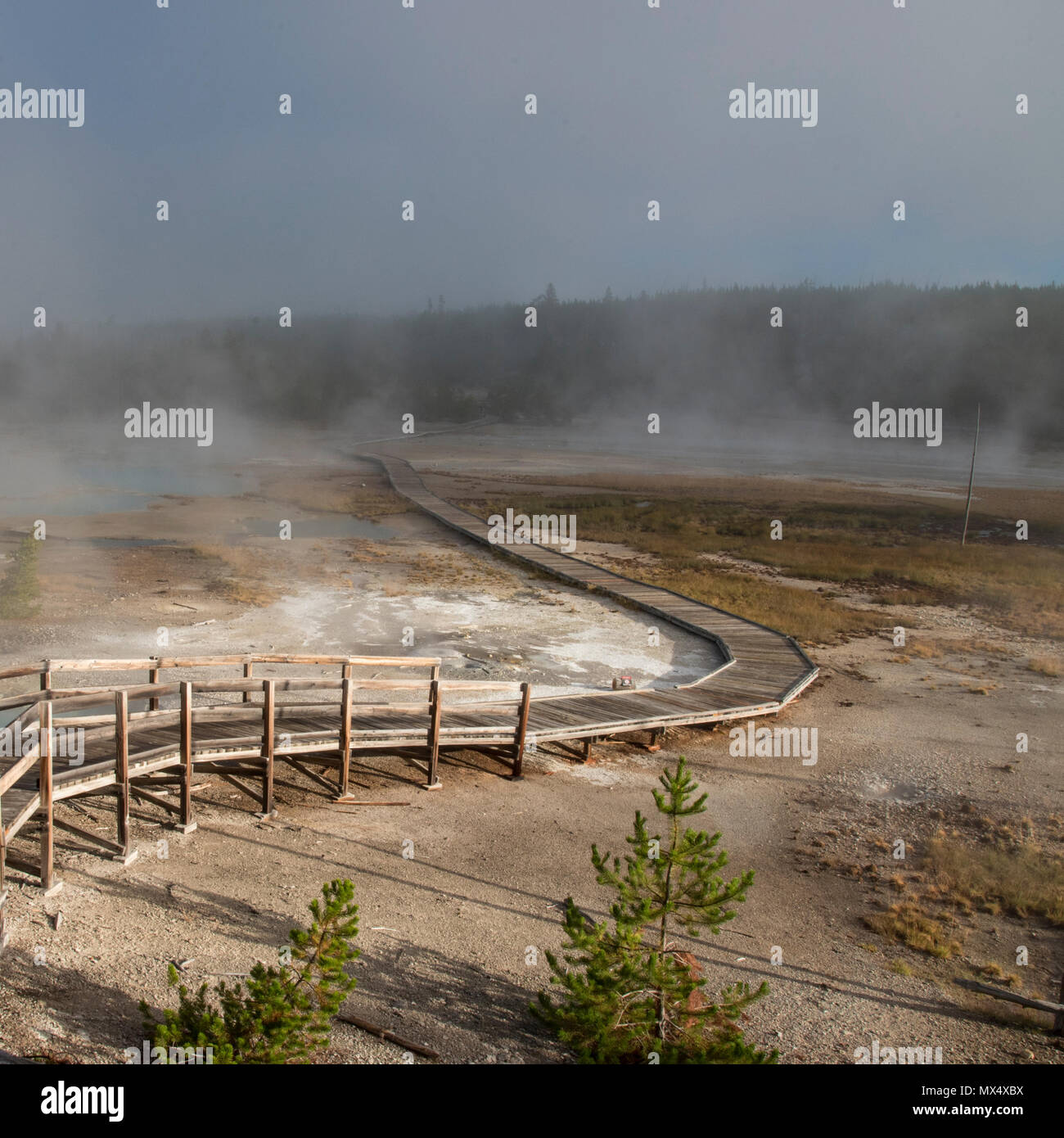 Railed walkway hi-res stock photography and images - Alamy