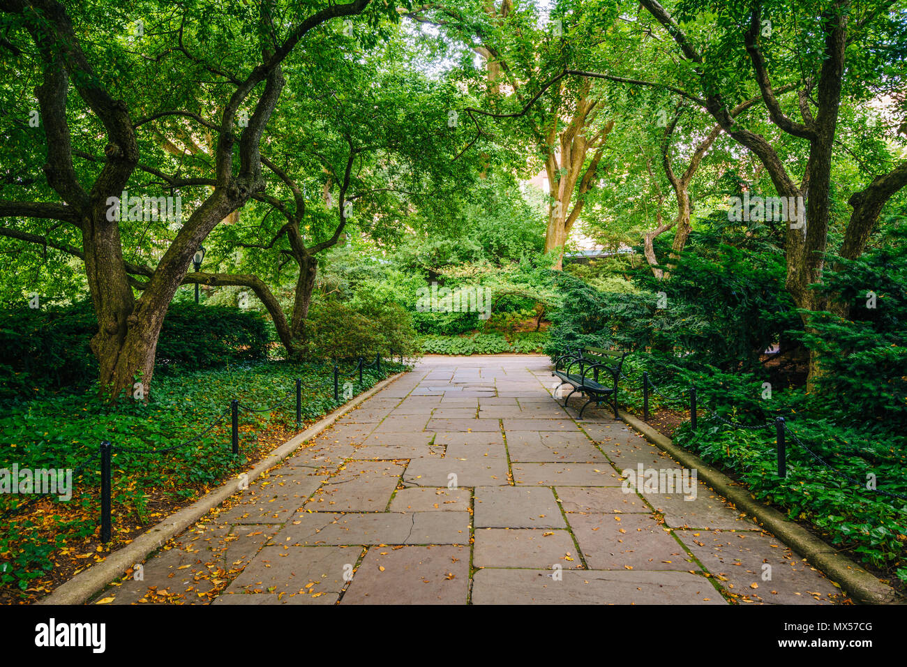 Tree-lined walkway at the Conservatory Garden, in Central Park ...