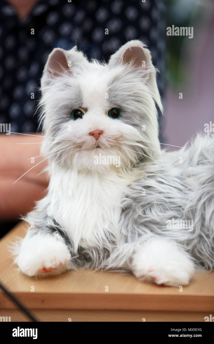 A robot cat pictured in a care home in Bognor Regis, West Sussex, UK. Stock Photo