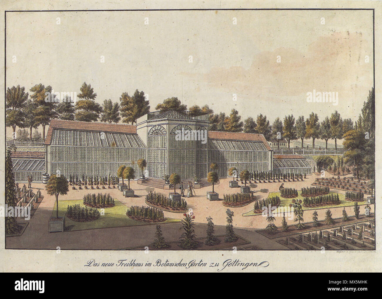 . Das neue Treibhaus im Botanischen Garten zu Göttingen; . um 1810; 83 Besemann - Das neue Treibhaus im Botanischen Garten (um 1810) Stock Photo