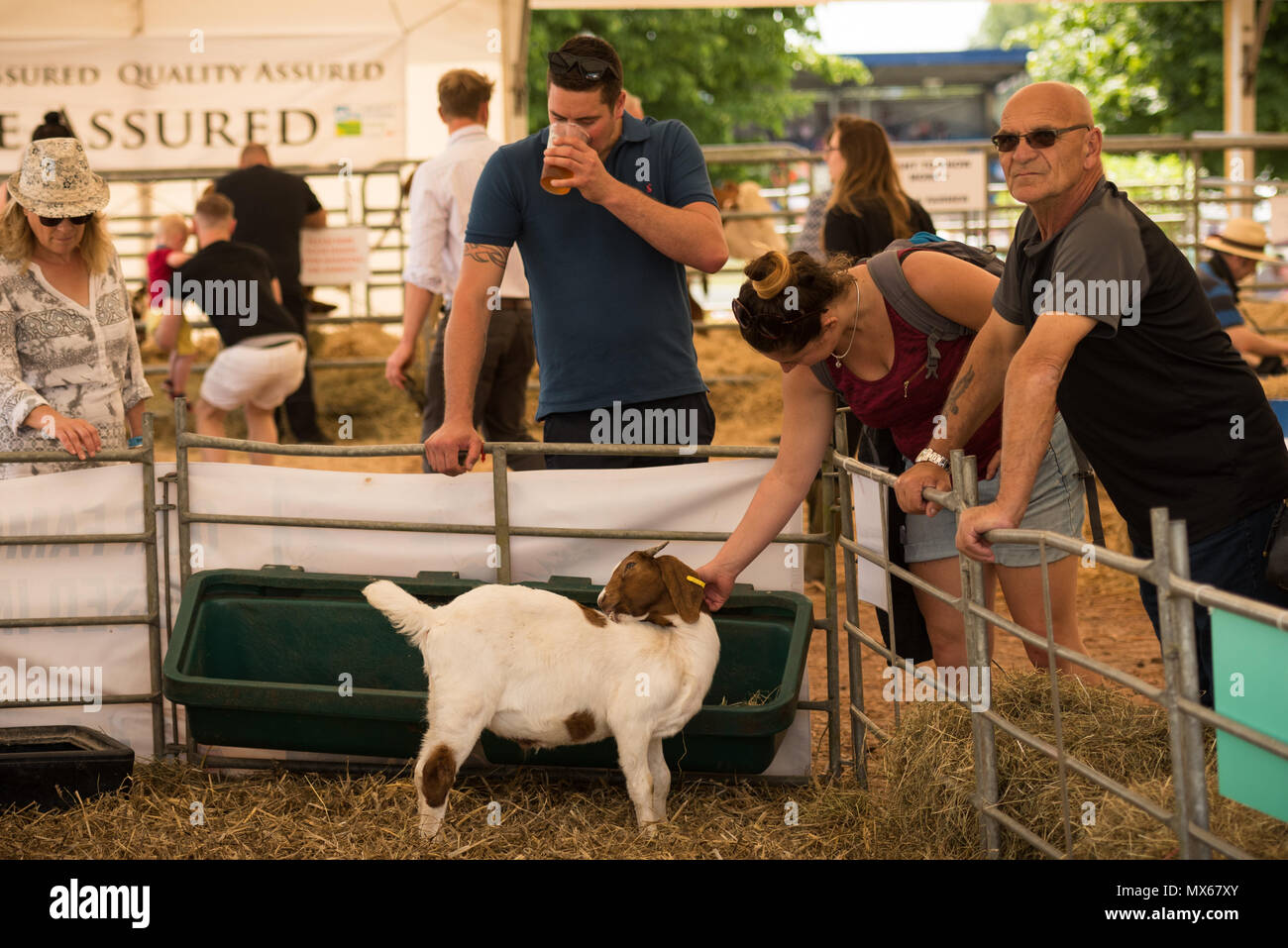Shepton mallet cider hires stock photography and images Alamy