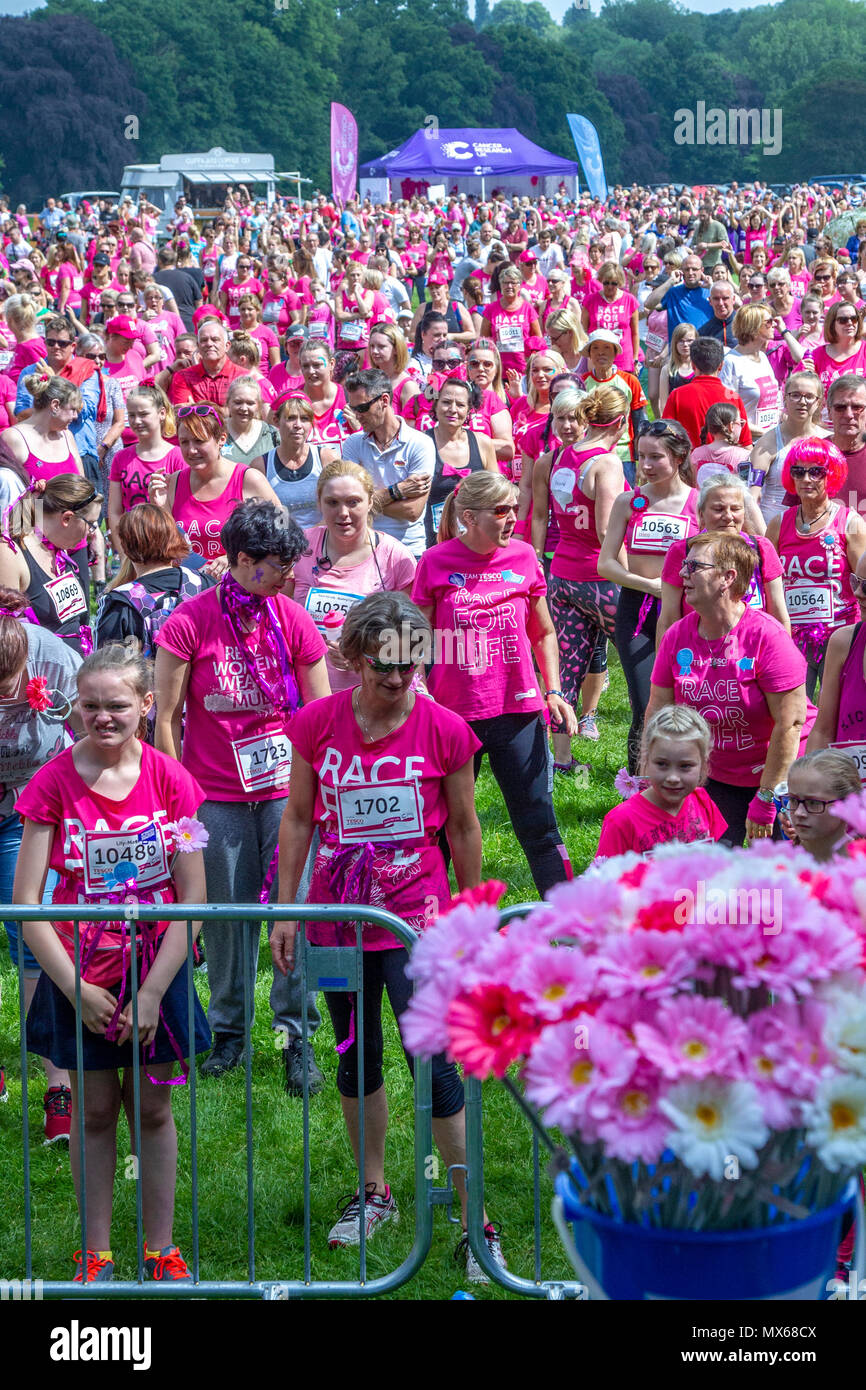 Northampton, UK. Abington Park, 3rd June 2018. Over 2000 entrants for todays Race for Life on a hot humid morning, raising funds for Cancer Research, a 5 and 10 km course which takes in most of Abington Park. Credit: Keith J Smith./Alamy Live News. Stock Photo