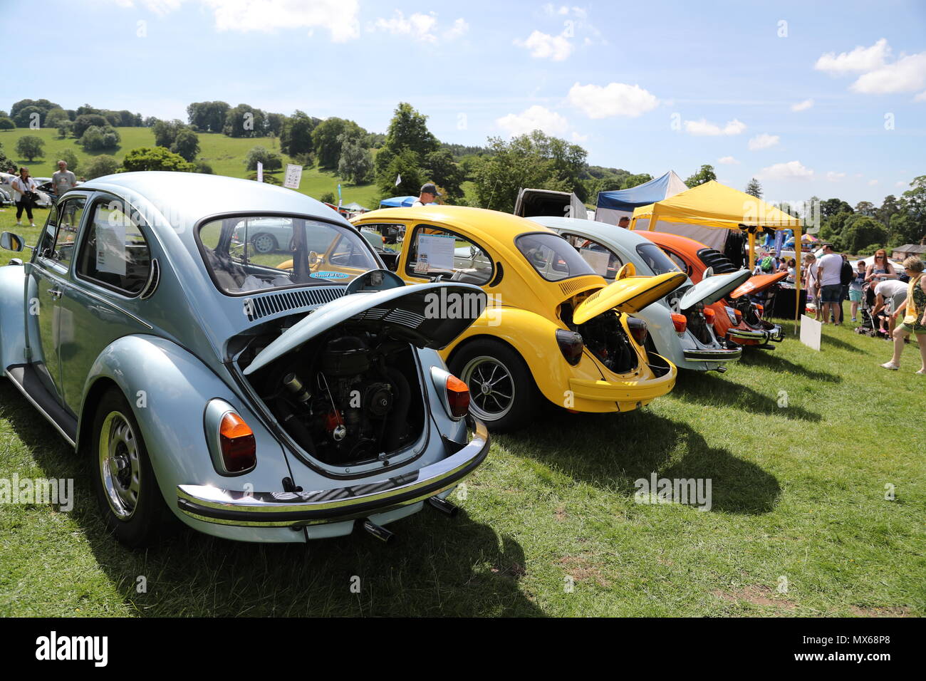 Stonor, Oxfordshire, UK. 3rd Jun, 2018. All types of historic Volkswagen cars and vans were displayed at this years's gathering of their owners. Fans could get close to well-loved vehicles from the German car manufacturer, which created its reputation for durability  and Hippie appeal in the 60s. Beetles lined up. Credit: Uwe Deffner/Alamy Live News Stock Photo