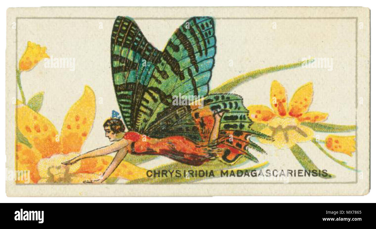 butterfly cigarette cards Vintage butterfly british hi-res stock photography and images
