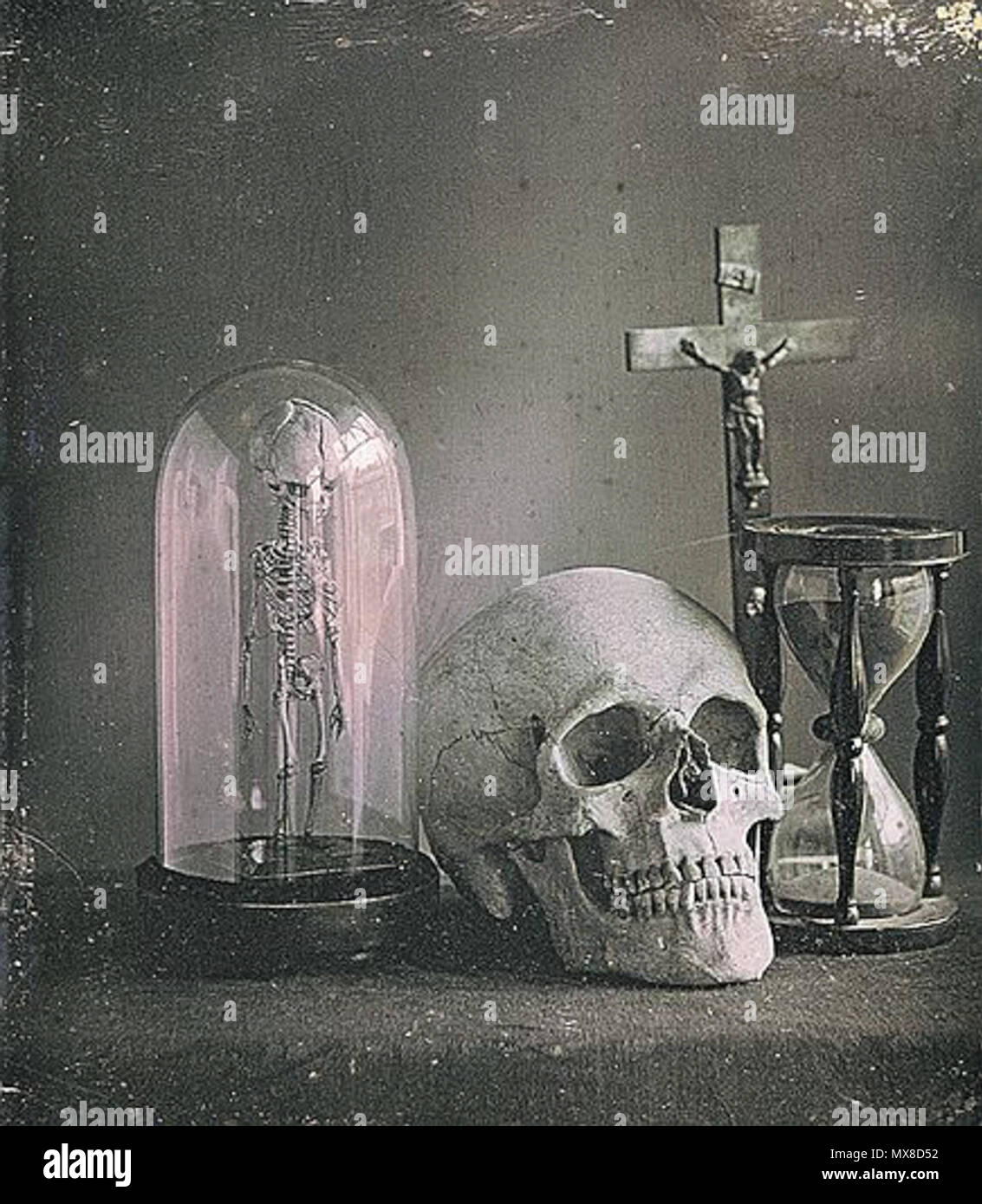 . English: Photograph - 'Still life with skull', by Louis Jules Duboscq (1817-1886). See the collection at the George Eastman House for a copy . ca. 1850. Jules Duboscq 172 Duboscq Jules Still life with skull Stock Photo
