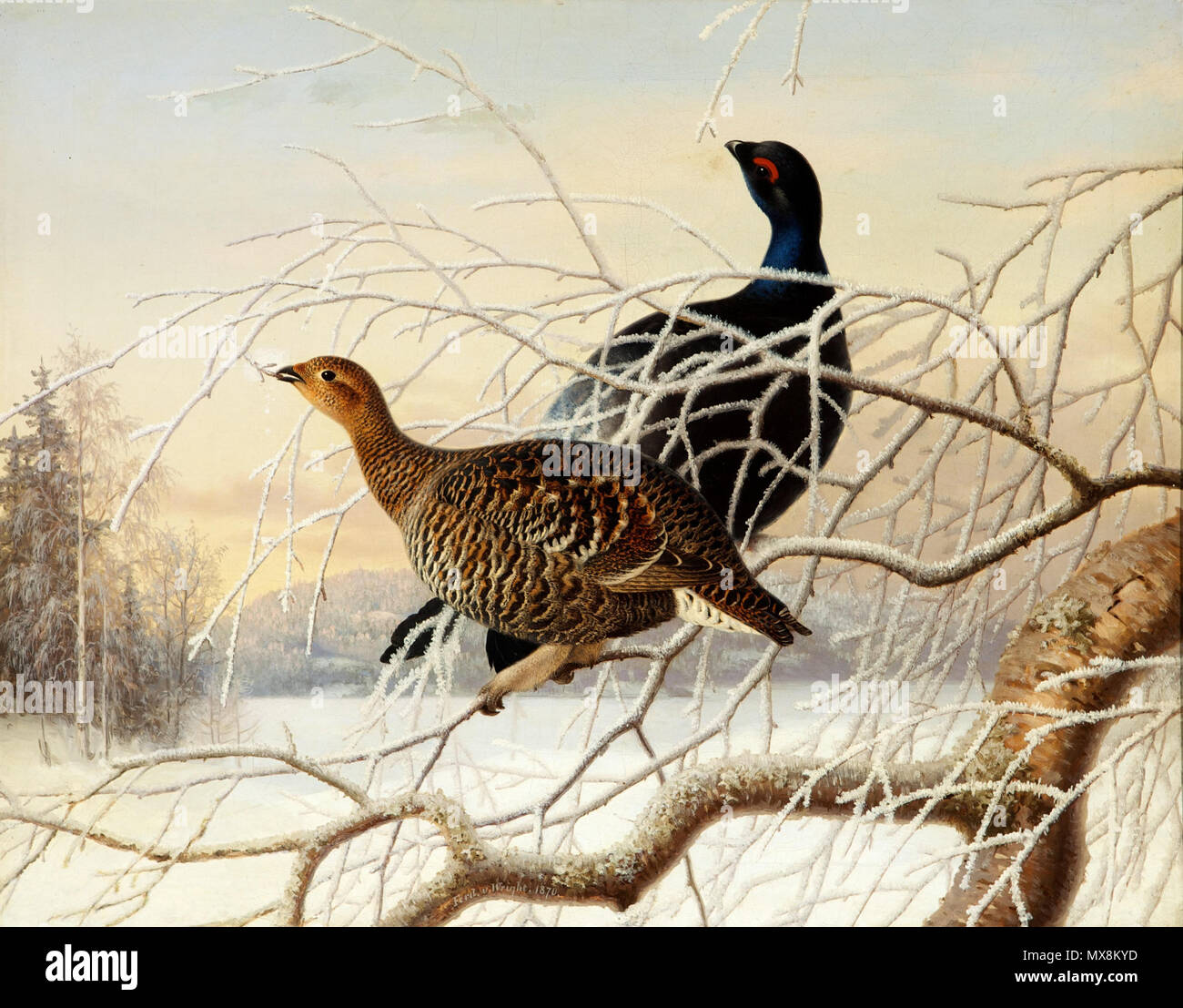 31 july 1906 hi-res stock photography and images - Alamy