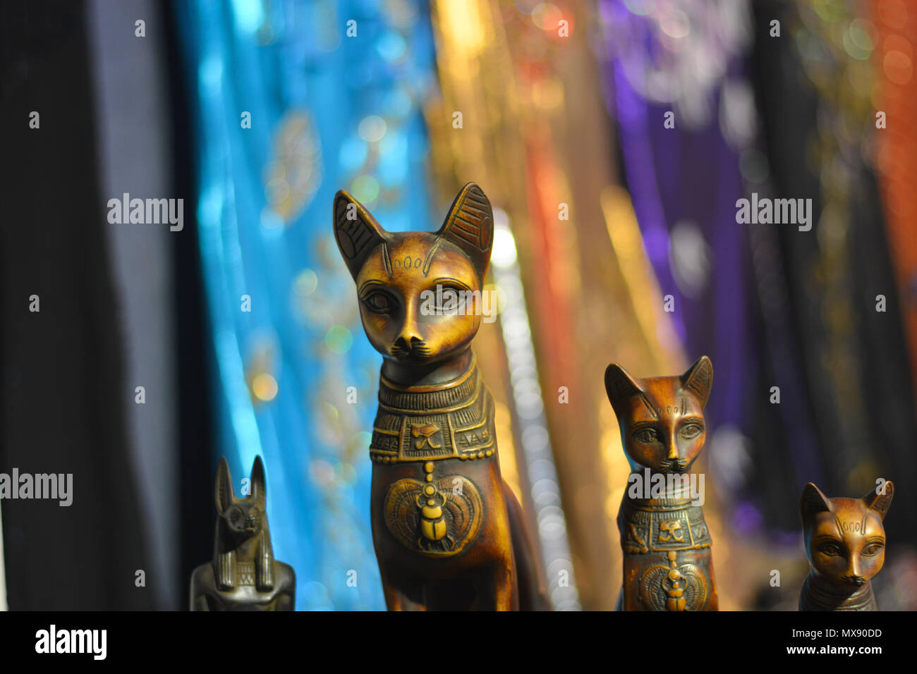 Cats, symbols of Egypt Stock Photo Alamy