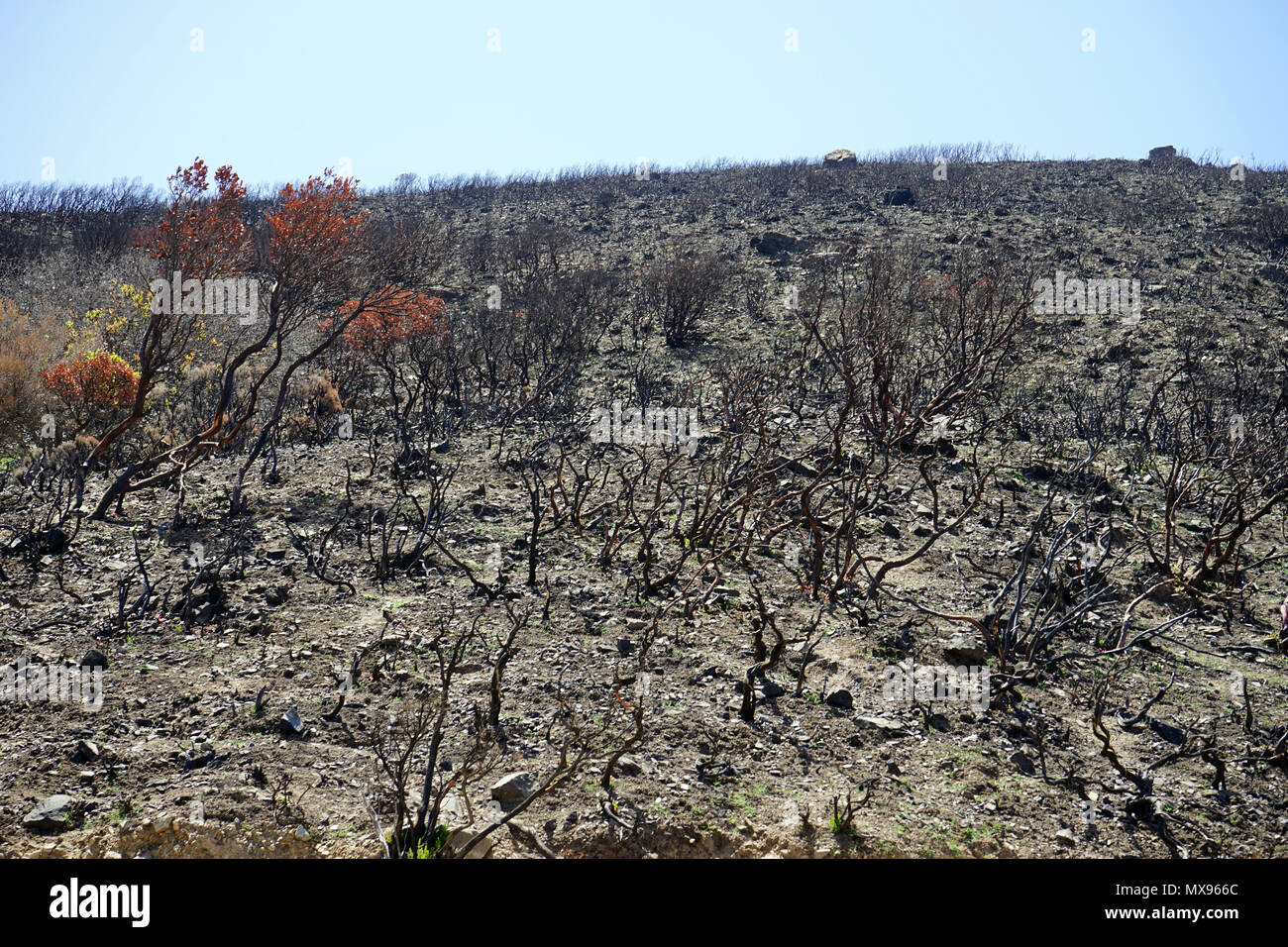 After disaster fire on the rock Stock Photo - Alamy