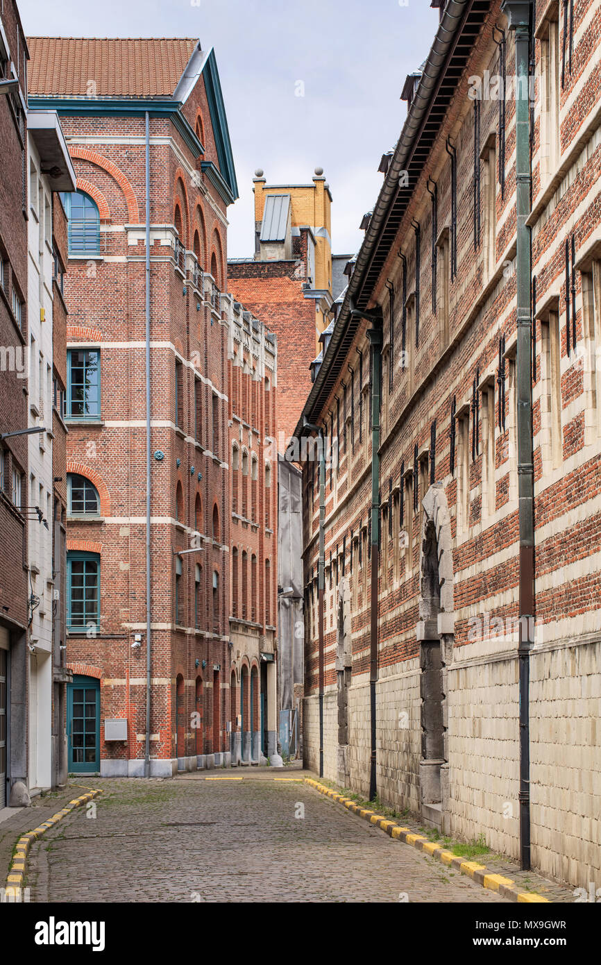 Ancient ally in the historical city center of Antwerp, Belgium Stock