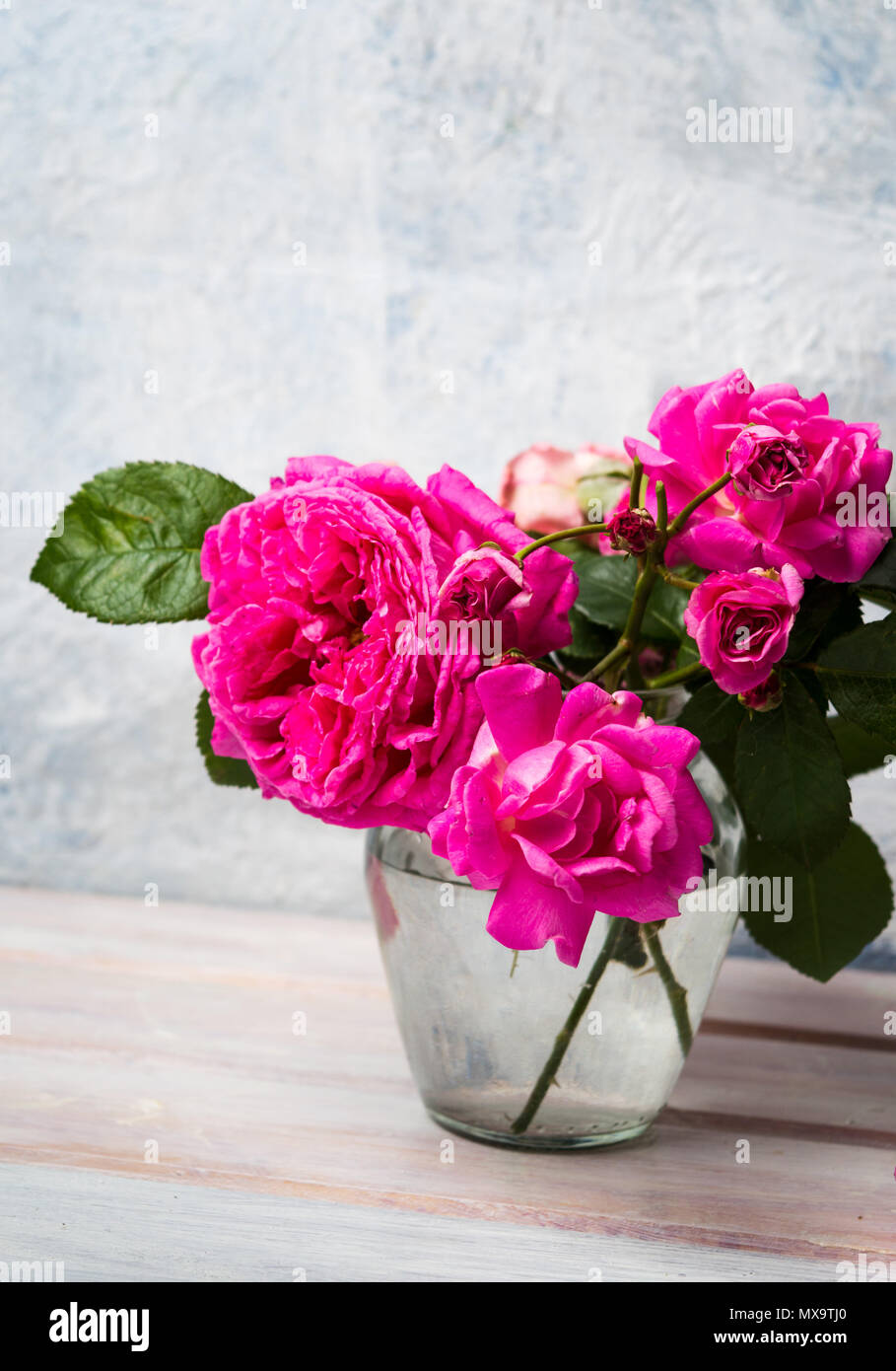 Homegrown rose flowers in blossom in a vase Stock Photo