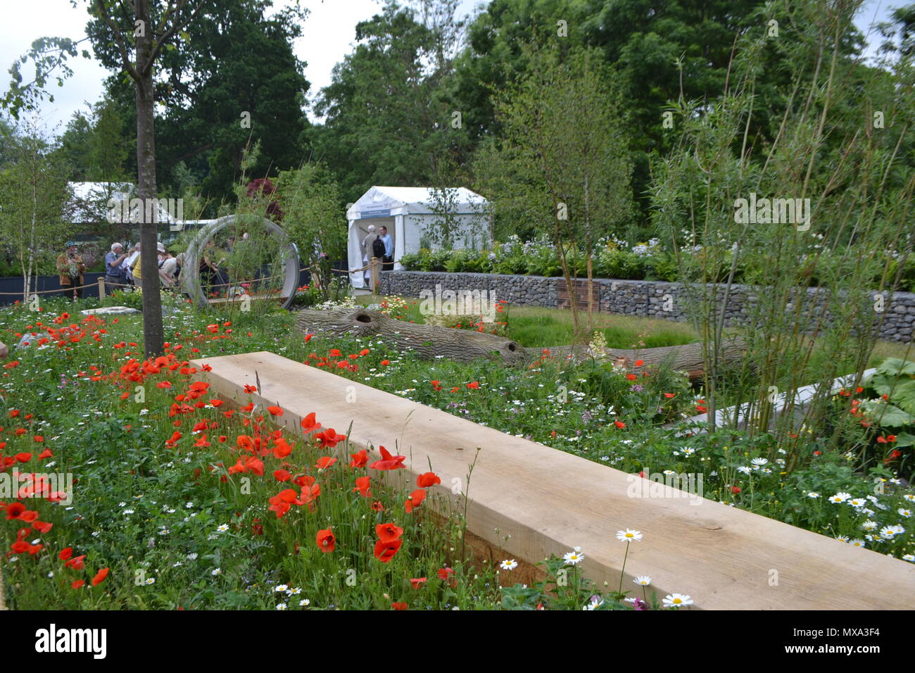 Bloom in the Park flower and garden show, Dublin, ireland 2018. Enable