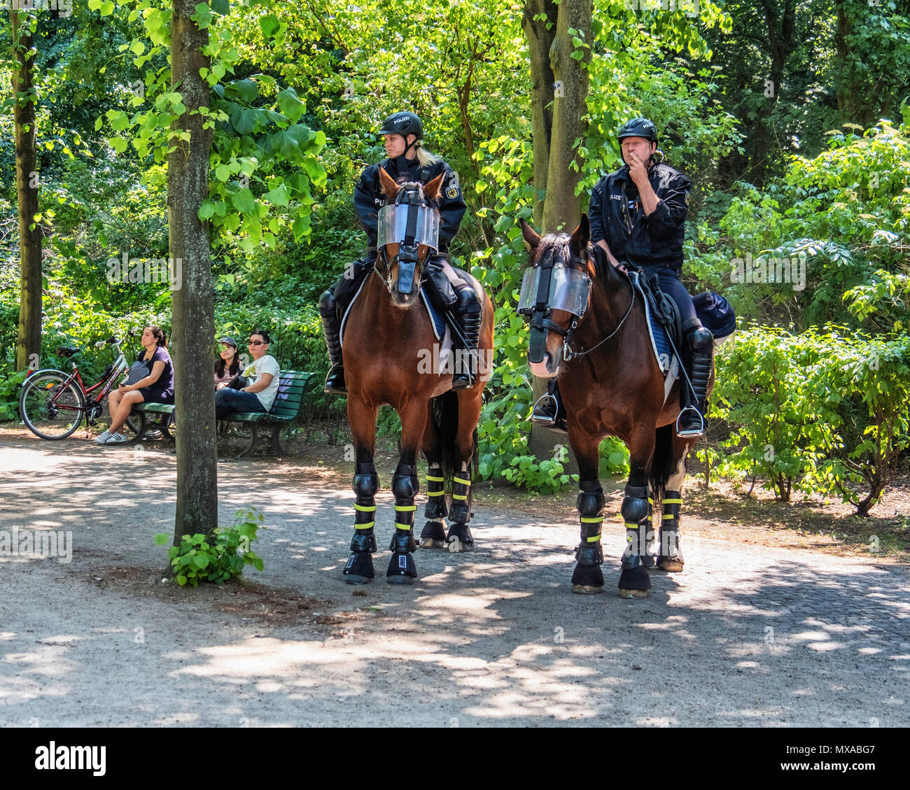 Horses equipped with eye shields hires stock photography and images