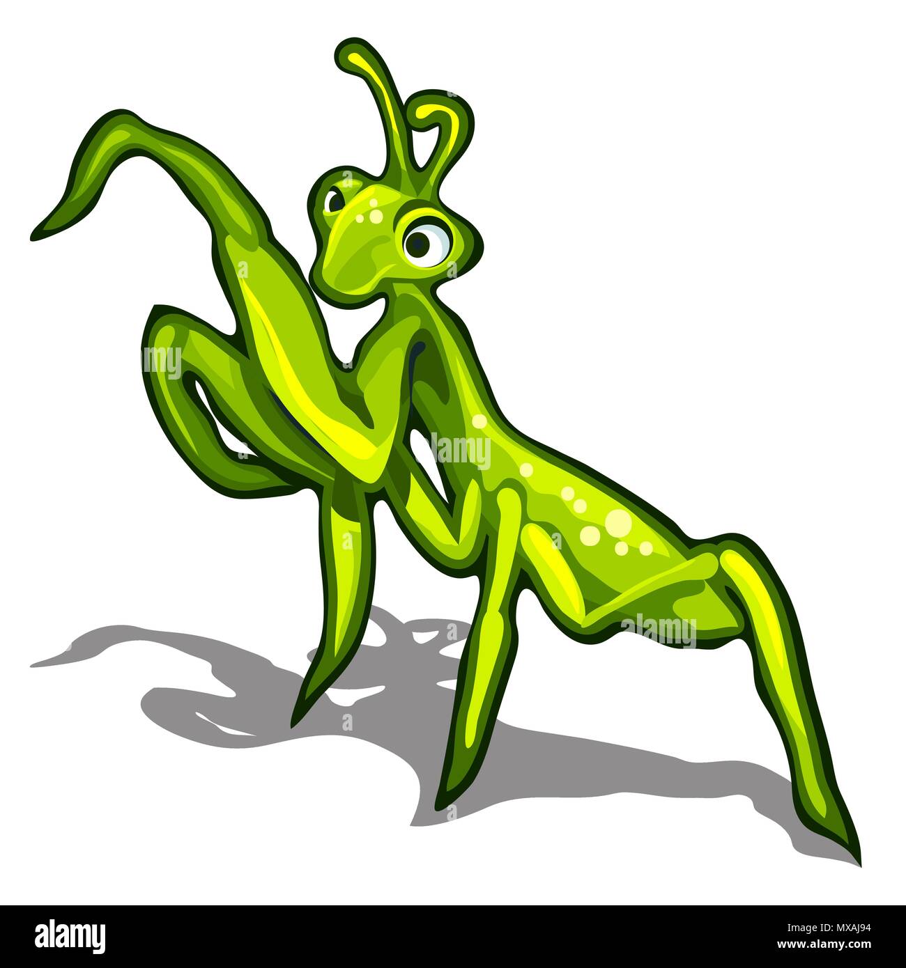 Beetle praying mantis isolated on a white background. Vector illustration. Stock Vector