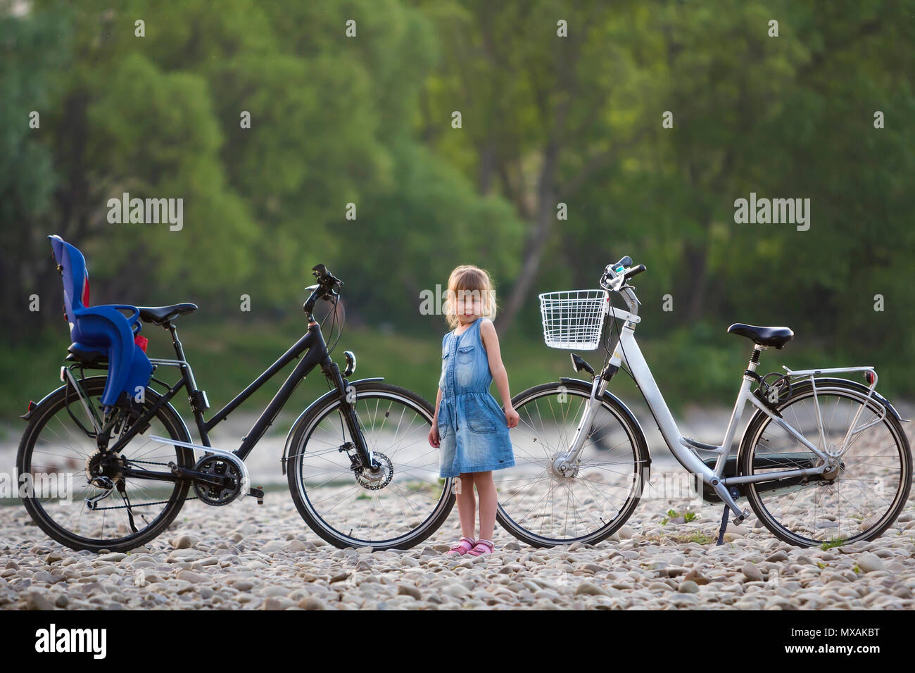 Small pretty blond girl in blue dress standing in front of white bicycle with bucket and black one with child seat on blurred green trees background.  Stock Photo