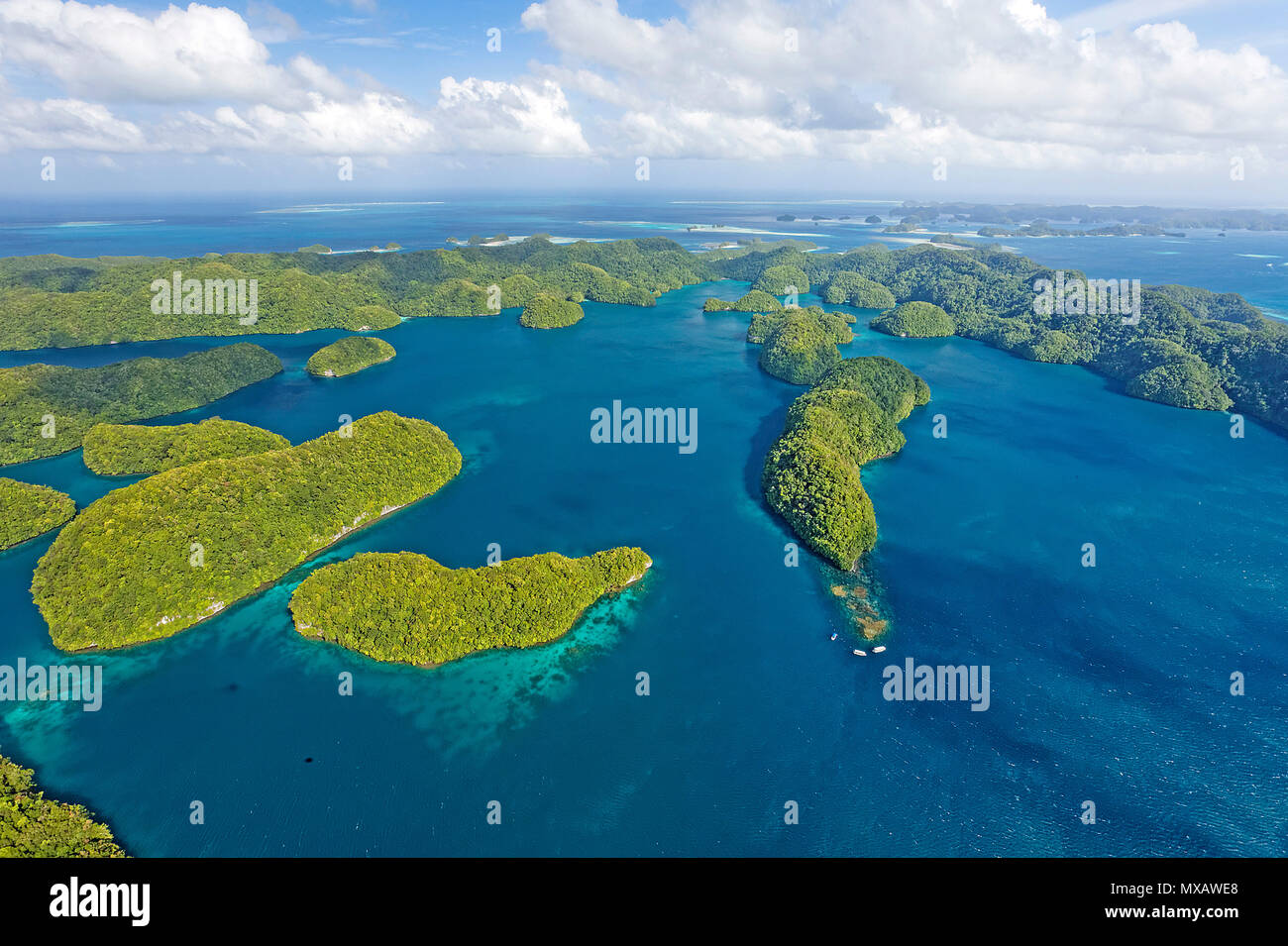 Luftaufnahme von Palau, Mikronesien, Asien | Aerial view of Palau, Micronesia, Asia Stock Photo