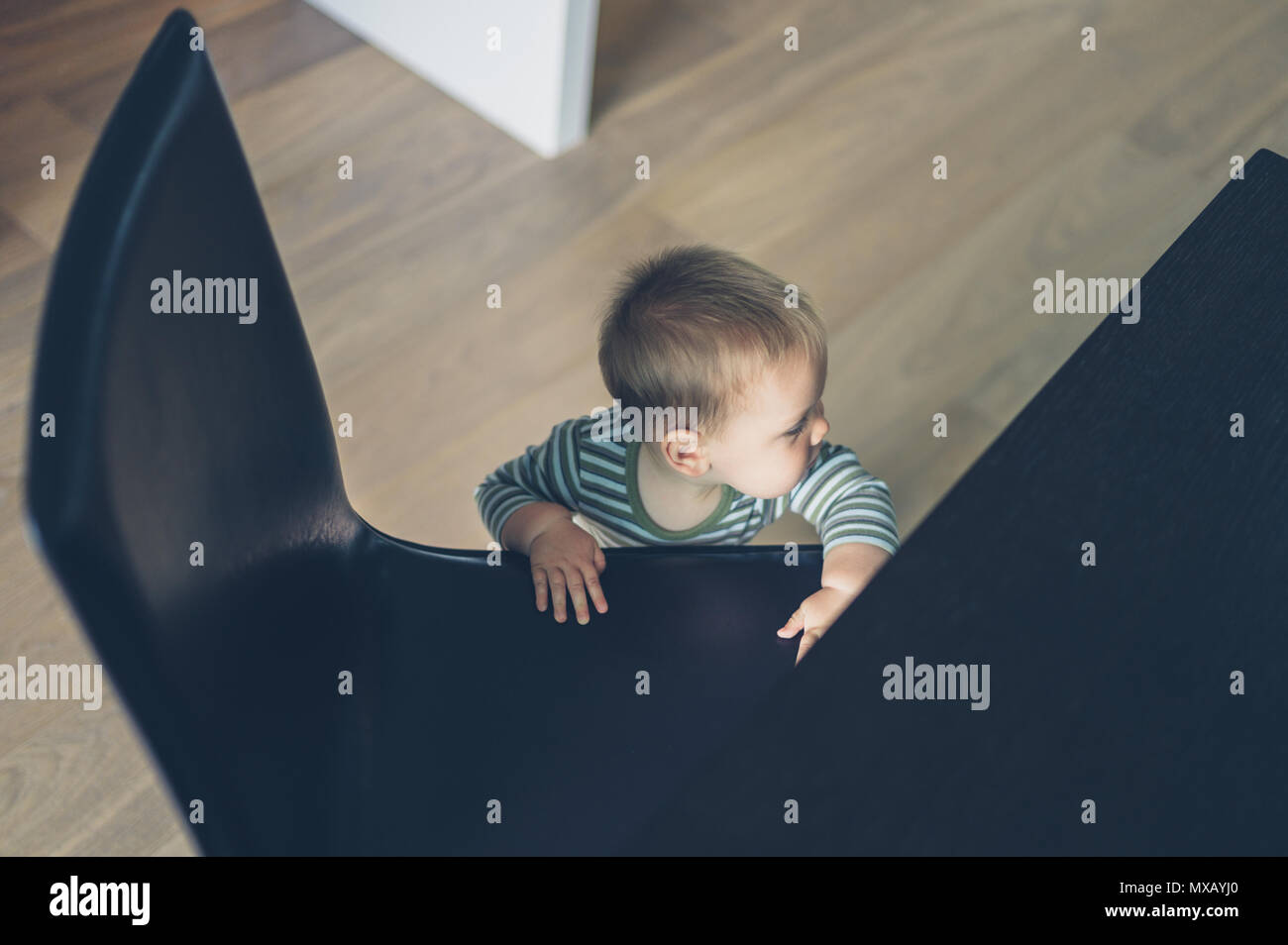 A little baby is using a chair to pull himself up Stock Photo Alamy