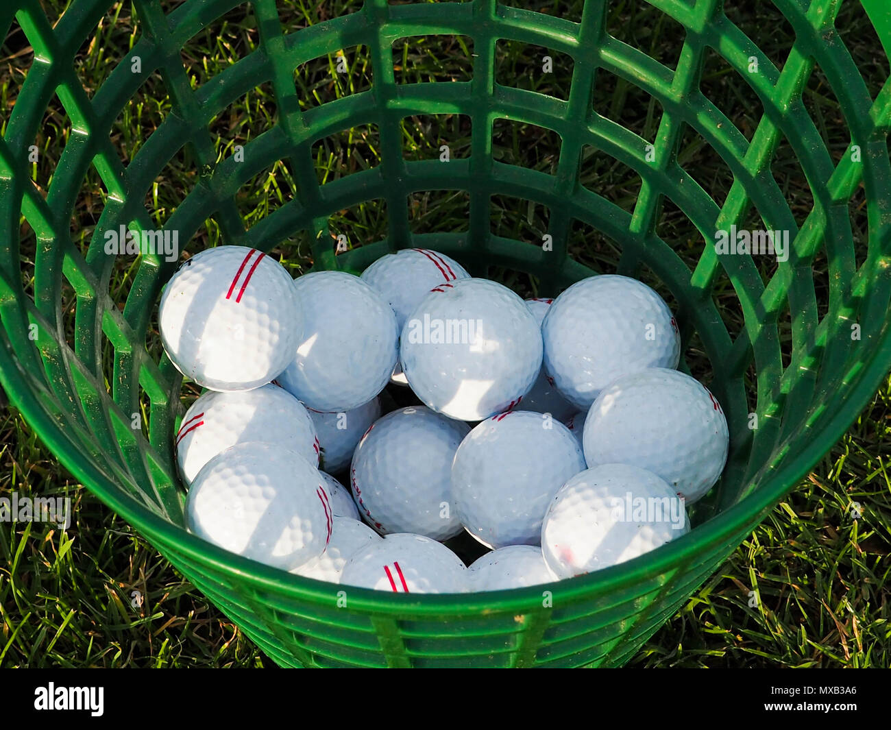 Golf balls in the basket on a grass background, the concept of a sport for  the rich, space for text Stock Photo - Alamy
