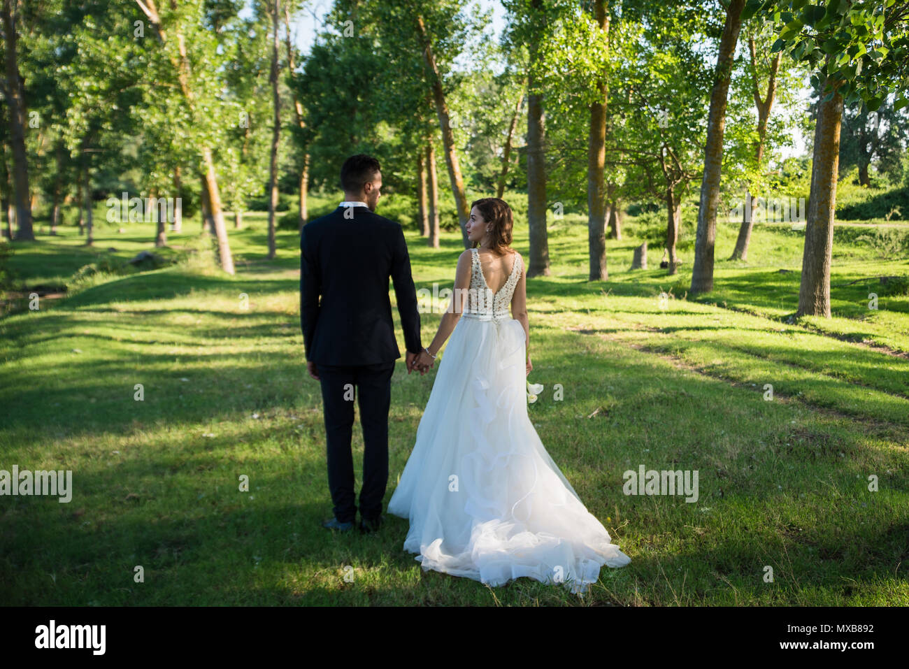 Bride and groom walking and holding hands on a meadow Stock Photo - Alamy