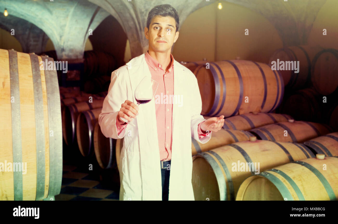Professional taster of winery 35s posing with wine in cellar Stock ...