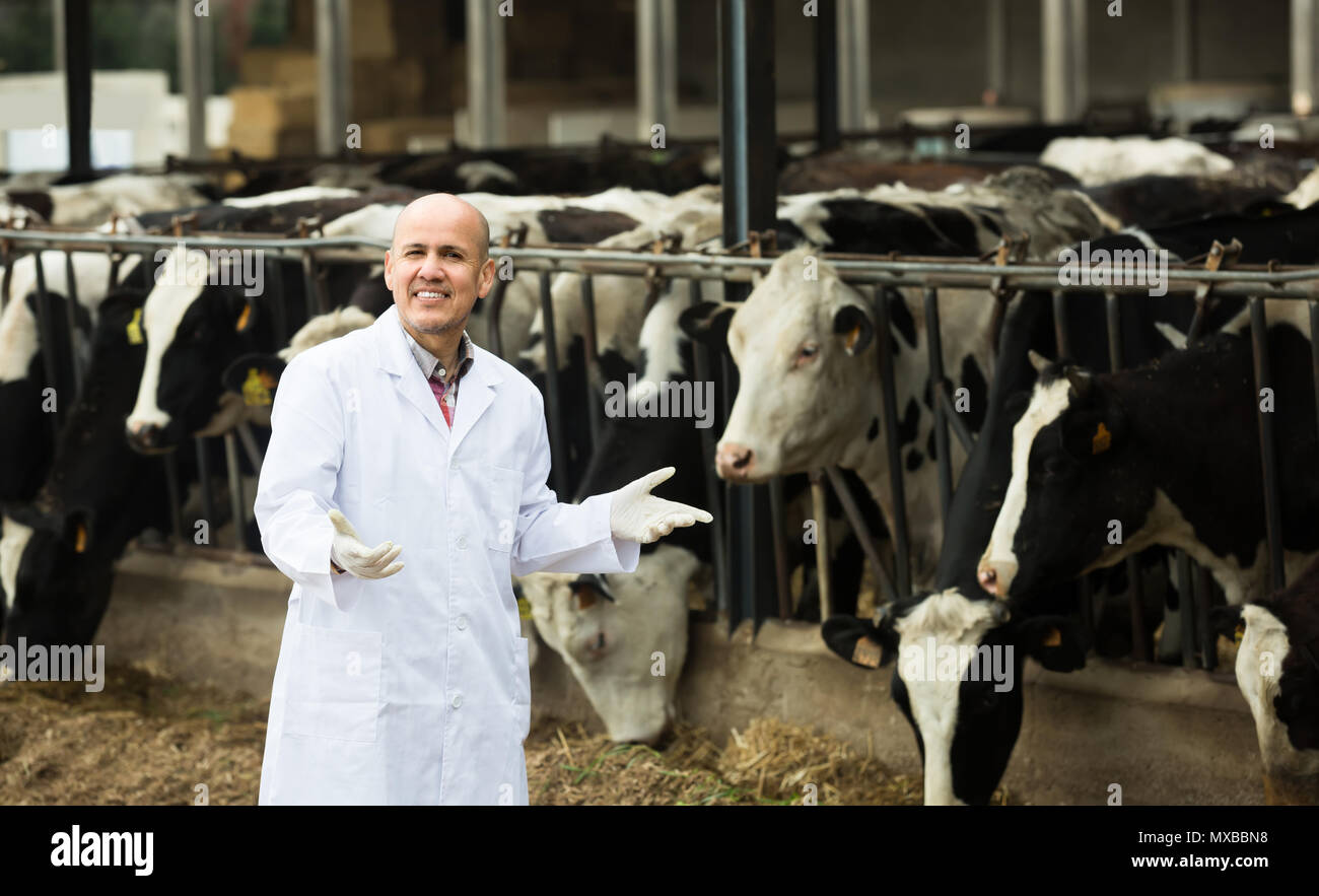 Joyful mature veterinarian in white overall standing near cows in